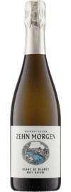 Zehn Morgen Sekt Blanc de Blanc Sekt Brut, Nahe 2020