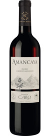 Amancaya Mendoza 2021