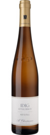 Idig Riesling GG Trocken, Pfalz 2024