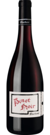 Markovic Pinot Noir Trocken, Landwein Oberrhein 2023
