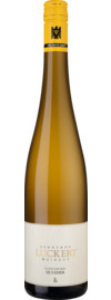 Berg Silvaner 1G Trocken, Franken 2024
