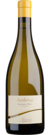 Andrius Sauvignon Alto Adige DOC 2024