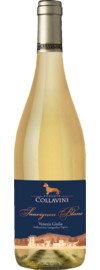 Collavini Sauvignon Blanc Venezia Giulia IGT 2024