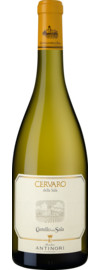 Cervaro della Sala Umbria IGT 2024