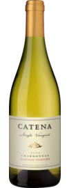 Domingo Vineyard Chardonnay Mendoza 2024