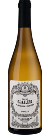 Val do Galir Godello Valdeorras DO 2025