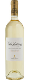 Pinot Bianco Toscana IGT 2024