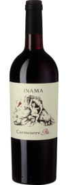 Carménère Più Veneto Rosso IGT 2023
