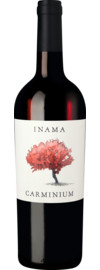 Carminium Carménère Colli Berici DOC 2022