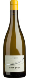 Cantina Andrian Pinot Grigio Alto Adige DOC 2025