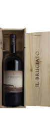 Il Bruciato Bolgheri DOC Magnum 2024