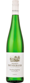 Berg Vogelsang Grüner Veltliner Kamptal DAC 2024