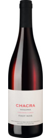 Cincuenta y Cinco Pinot Noir Rio Negro, Patagonia 2019