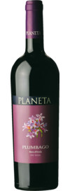 Plumbago Nero d'Avola Menfi Sicilia DOC 2023