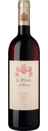 Il Pino di Biserno Toscana IGT 2023