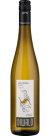 Grüner Veltliner vom Löss Wagram DAC 2025