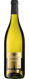 Verdicchio dei Castelli di Jesi Classico Marche DOC 2025