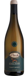 Collavini Villa Canlungo Pinot Grigio Friaul DOC 2025
