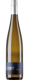 Klumpp Riesling Trocken, Baden 2025