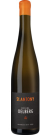 Ölberg Riesling GG Trocken, Rheinhessen 2025