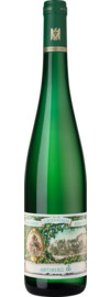 Abtsberg Riesling GG Trocken, Mosel 2025