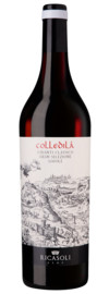 Colledilà Chianti Classico Gran Selezione Chianti Classico DOCG 2021