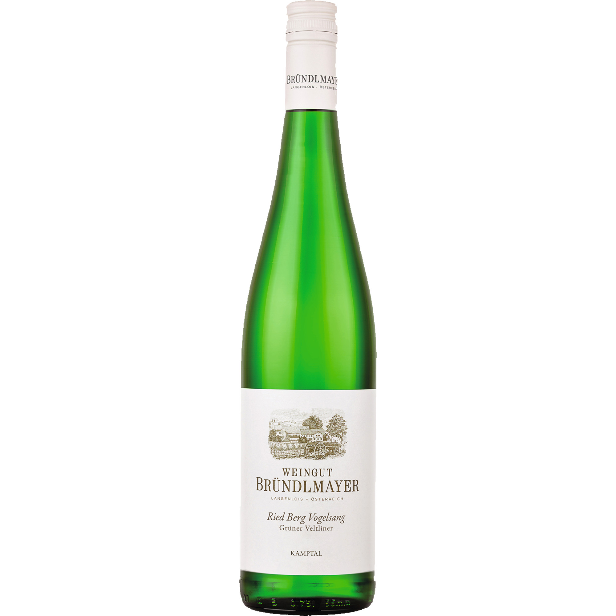 Berg Vogelsang Grüner Veltliner 2023 Weißwein, Kamptal DAC 0.75 l
