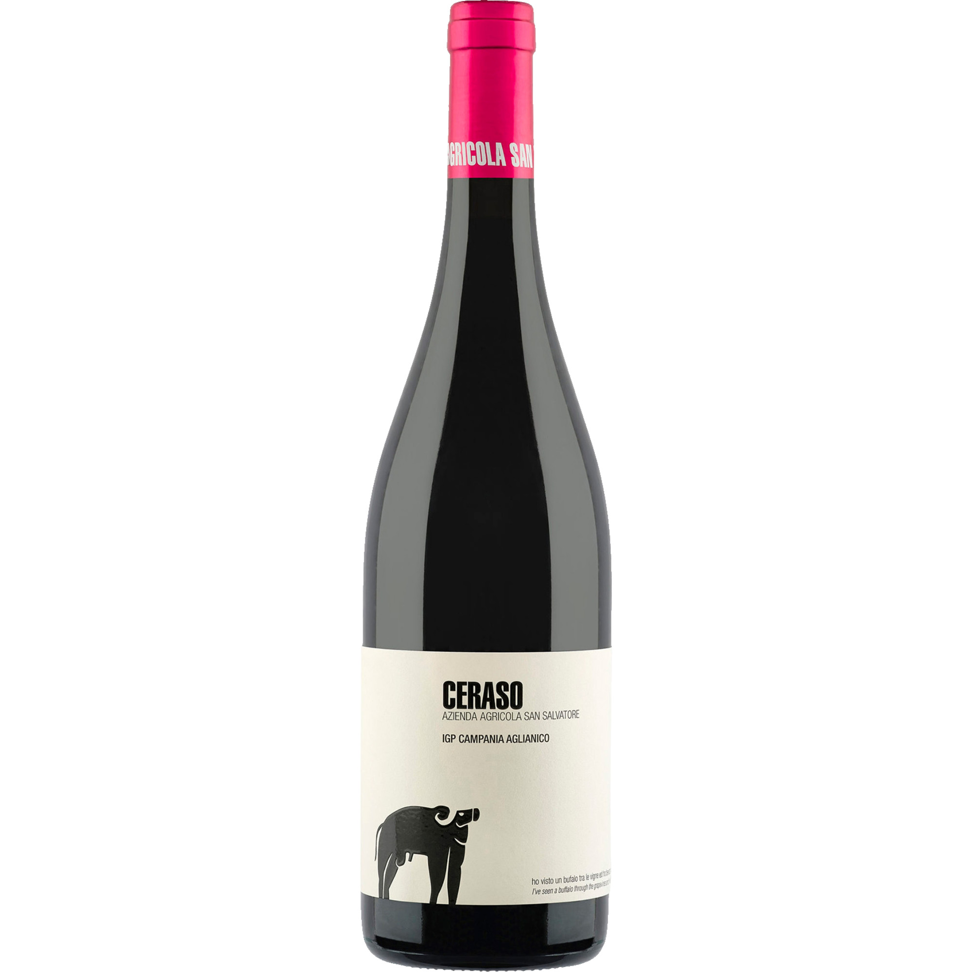 San Salvatore Ceraso Aglianico 2022 Rotwein, Campania IGP 0.75 l