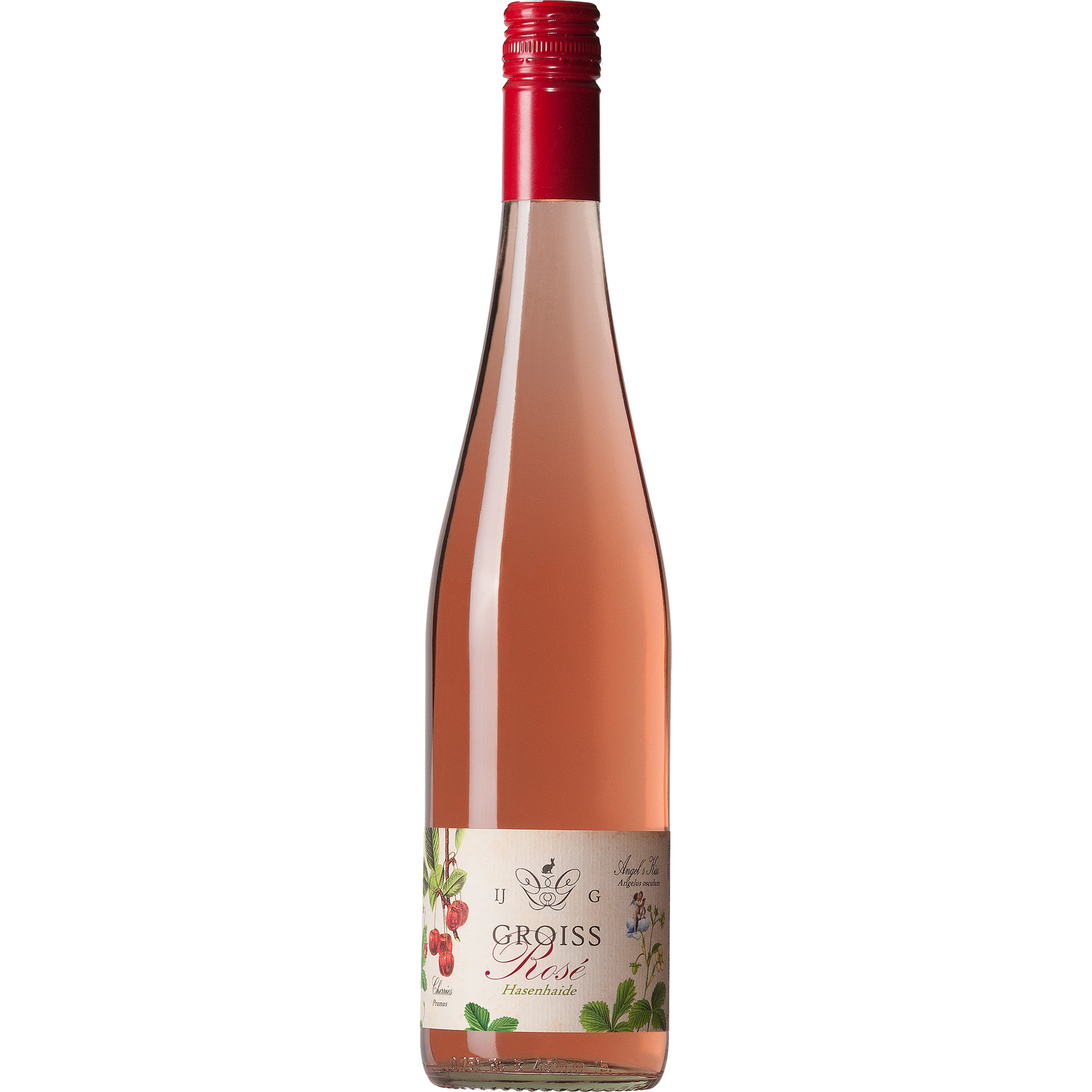 Groiss Hasenhaide Pinot Noir Rosé 2024 Roséwein, Weinland, Österreich 0.75 l