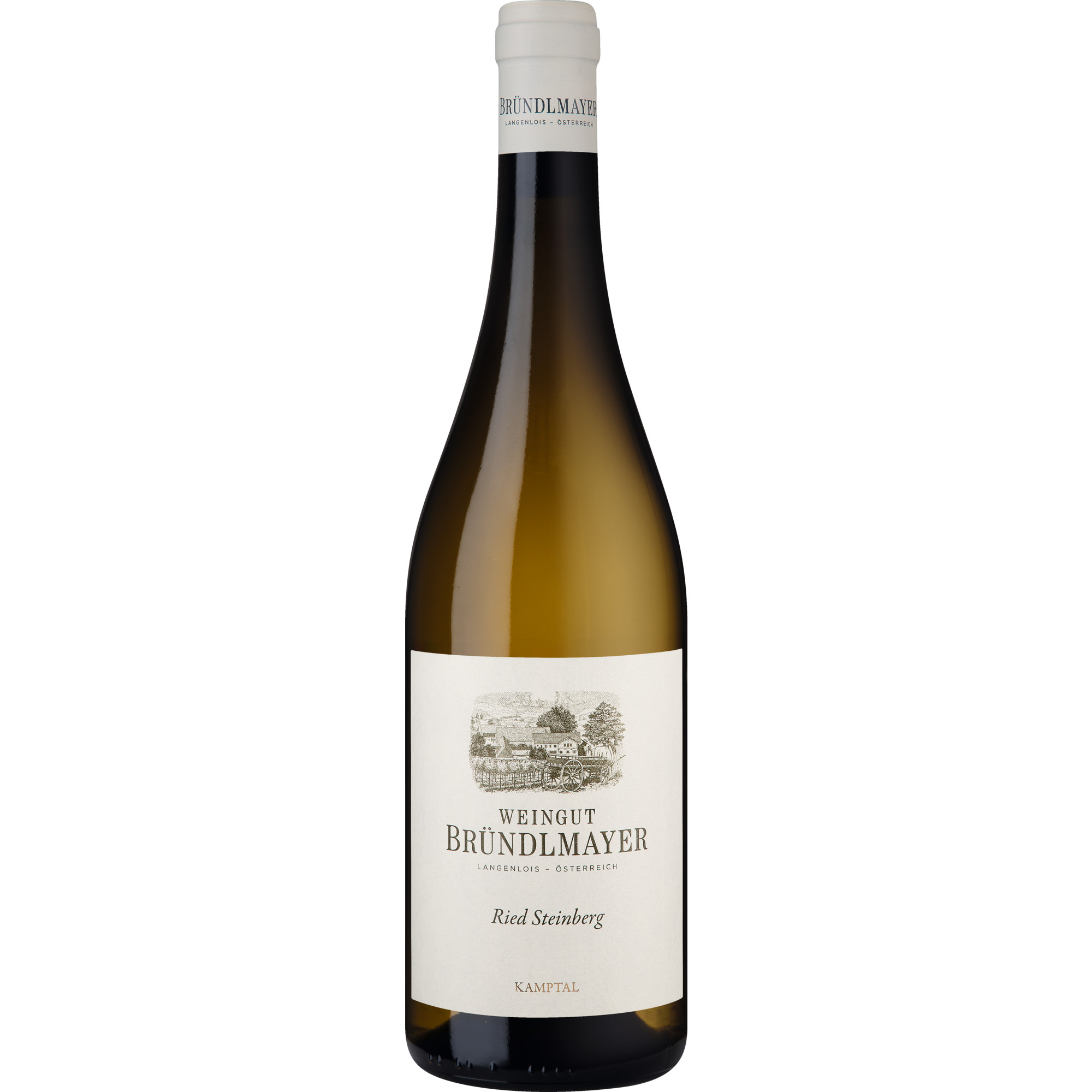 Ried Steinberg Chardonnay Reserve 2023 Weißwein, Trocken, Kamptal 0.75 l